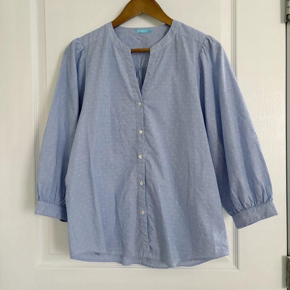 J. McLaughlin Blue Swiss Dot Striped Shirt Medium Preppy Summer
